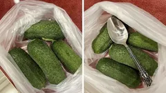 Chrumkavé uhorky až 10 dní? Všetko vďaka obyčajnej lyžici